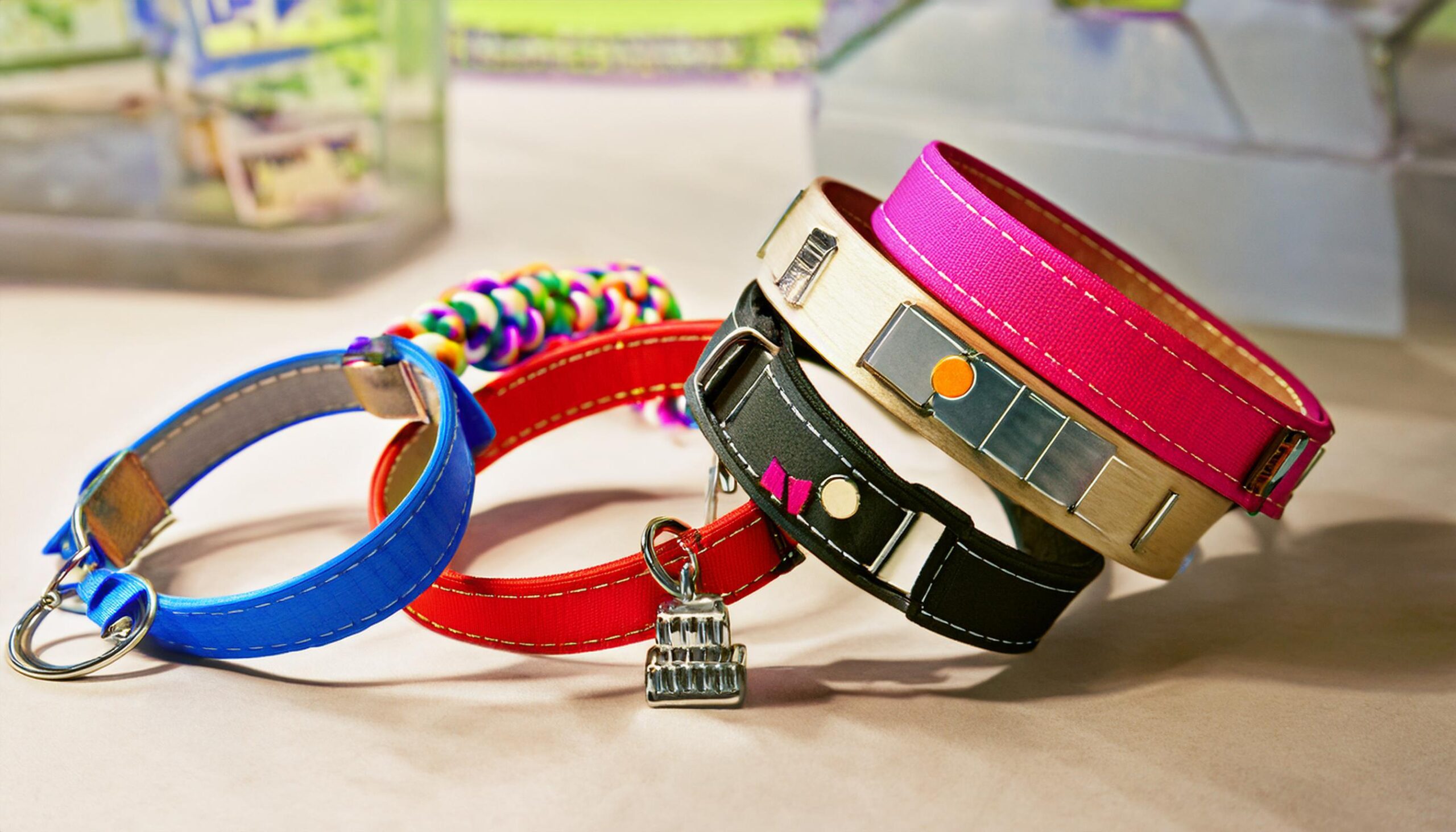 Médailles et colliers pour animaux