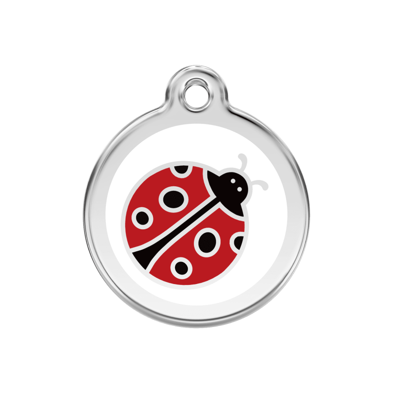 Vue avant - Médaille personnalisée pour chien Red Dingo Émail et acier inoxydable - Motif Coccinelle - Blanc - Taille M