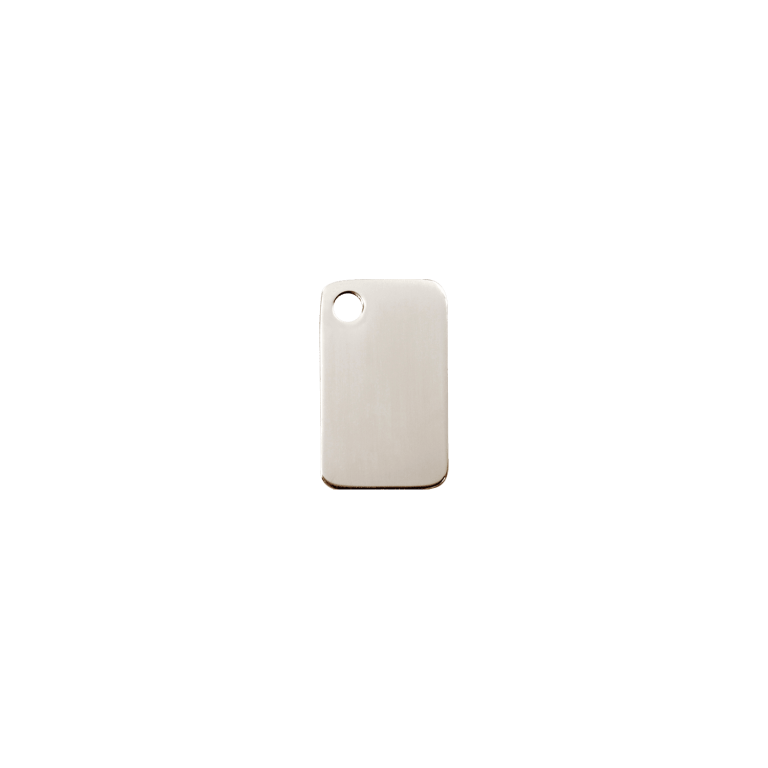 Vue avant - Médaille personnalisable pour chat Red Dingo en acier inoxydable - Taille S - Référence : 02-RT-ZZ-SM