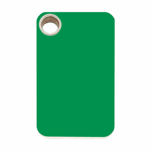 Médaille chien rectangle plastique plat verte taille L