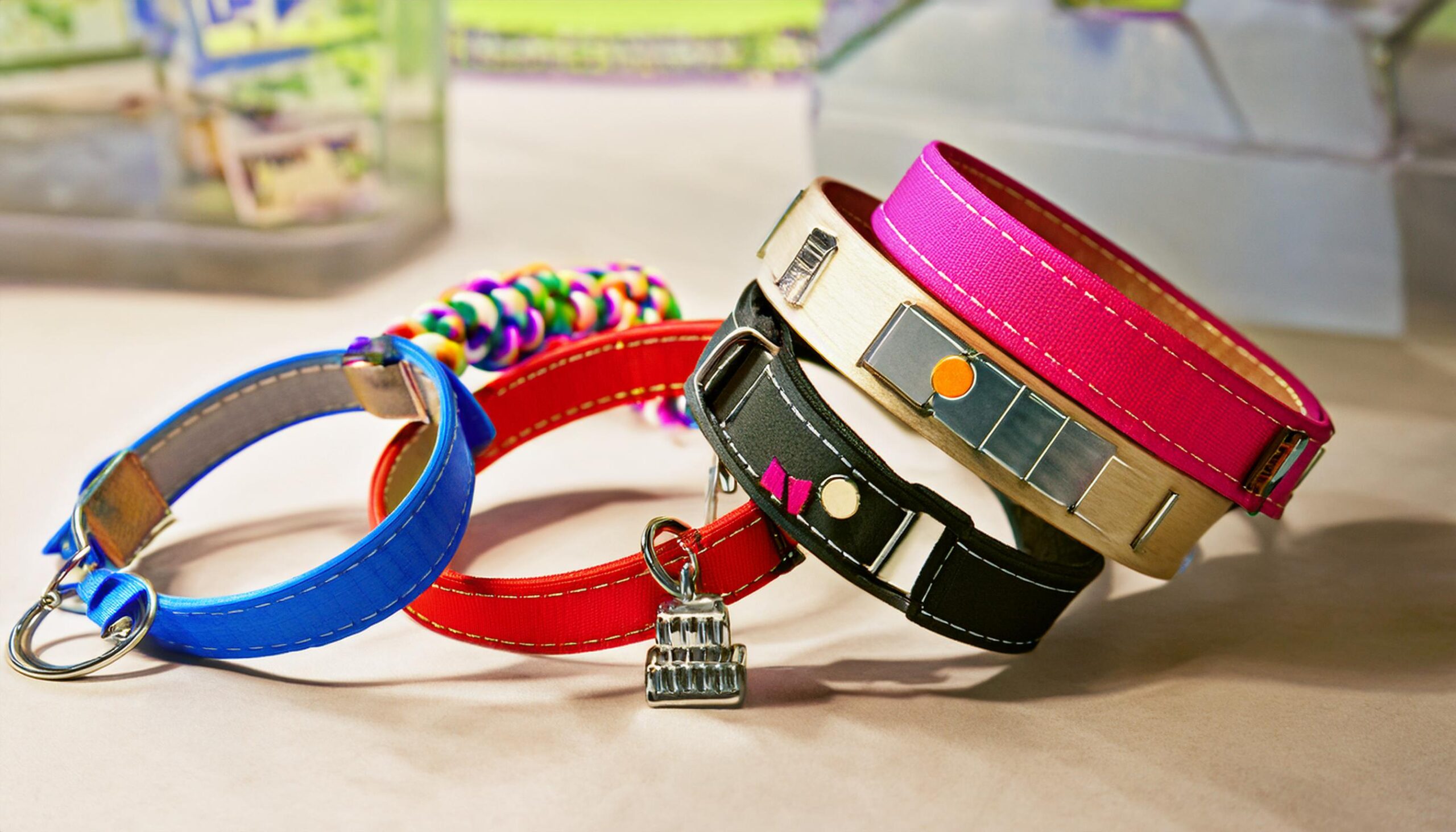 Médailles et colliers pour animaux